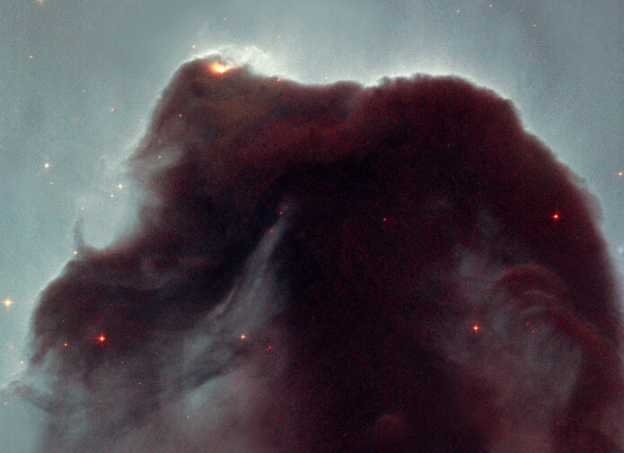 Dette er et nærbilde av Hestehode-tåken – en diger samling kosmisk støv som er avbildet av Hubble-teleskopet. Her er størrelsesforholdene helt annerledes, denne tåken er rundt et lysår på tvers. Dette er et nærbilde av Hestehode-tåken – en diger samling kosmisk støv som er avbildet av Hubble-teleskopet. Her er størrelsesforholdene helt annerledes, denne tåken er rundt et lysår på tvers.