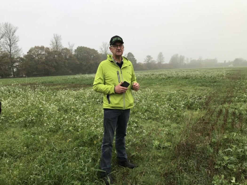 Ettervekster blomstrer bak bonden Søren Ilsøe, som ikke pløyer, men har planter på jordene år rundt. Ettervekster blomstrer bak bonden Søren Ilsøe, som ikke pløyer, men har planter på jordene år rundt.