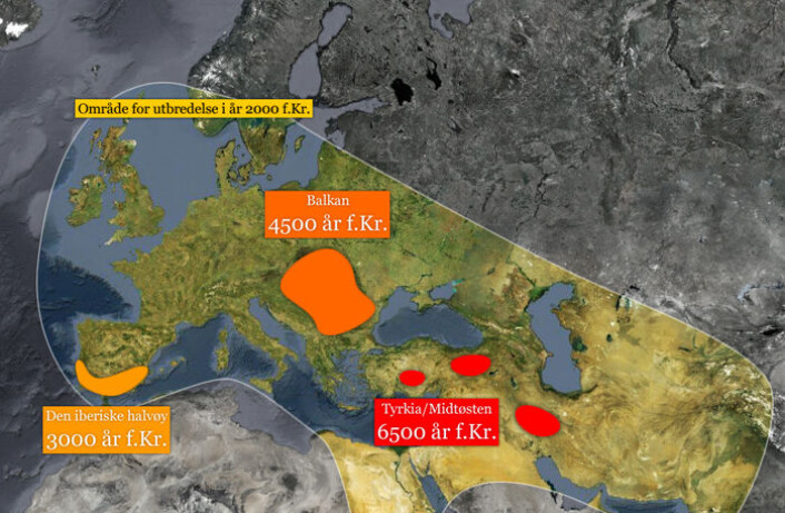Kartet viser tre kjerneområder for utvikling av kunnskap om kobbermetallurgi og spredning fra disse. 2000 år før vår tidsregning hadde denne kunnskapen nådd store deler av Europa, Midtøsten og det vestlige Asia. Kilde: Colin Renfrew og Paul Bahn: Archeology. Theories, Methods and Practice. Thames and Hudson 2008. (Foto: (Illustrasjon: Per Byhring)) Kartet viser tre kjerneområder for utvikling av kunnskap om kobbermetallurgi og spredning fra disse. 2000 år før vår tidsregning hadde denne kunnskapen nådd store deler av Europa, Midtøsten og det vestlige Asia. Kilde: Colin Renfrew og Paul Bahn: Archeology. Theories, Methods and Practice. Thames and Hudson 2008. (Foto: (Illustrasjon: Per Byhring))