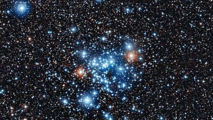 I denne stjernehopen i stjernebiletet Kentauren oppdaga forskarar ein til no ukjent stjernetype. (Foto: ESO) I denne stjernehopen i stjernebiletet Kentauren oppdaga forskarar ein til no ukjent stjernetype. (Foto: ESO)