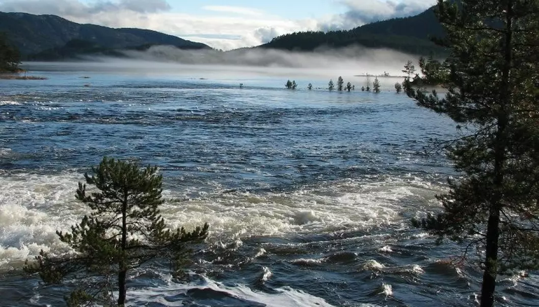 Sur nedbør påvirker fortsatt norske elver