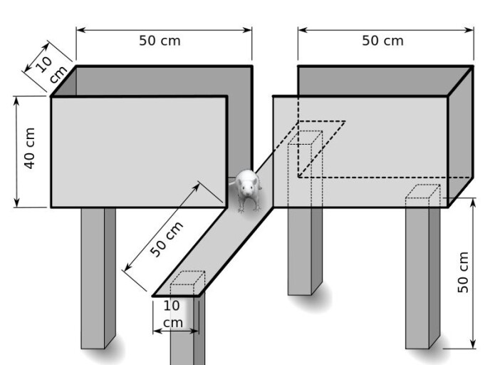 Eksempel på en såkalt elevated maze. Eksempel på en såkalt elevated maze.
