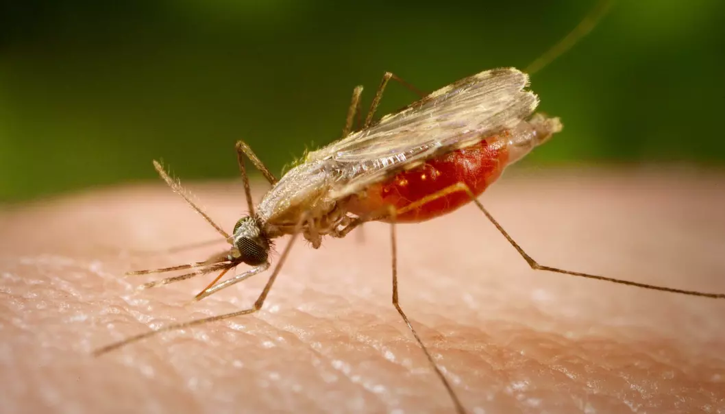 Kampen mot malaria
