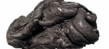 Dette er tyggisen til ei jente som levde for flere tusen år siden