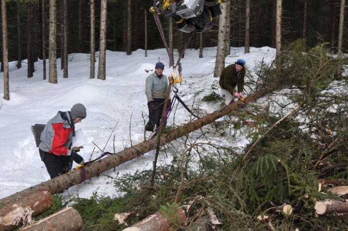 I følge forskerne kan det være bra å ikke ta ut alt hogstavfallet, men å la noe av det ligge igjen etter hogst. (Foto: Leif Kjøstelsen) I følge forskerne kan det være bra å ikke ta ut alt hogstavfallet, men å la noe av det ligge igjen etter hogst. (Foto: Leif Kjøstelsen)