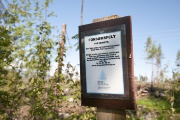 Prosjektet Ecobrem undersøker konsekvensene av økt uttak av bioenergivirke fra hogstfelt. (Foto: Lars Sandved Dalen) Prosjektet Ecobrem undersøker konsekvensene av økt uttak av bioenergivirke fra hogstfelt. (Foto: Lars Sandved Dalen)