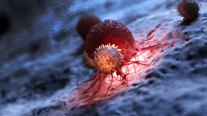 Makrofager er immunceller som patruljerer kroppen og dreper bakterier.