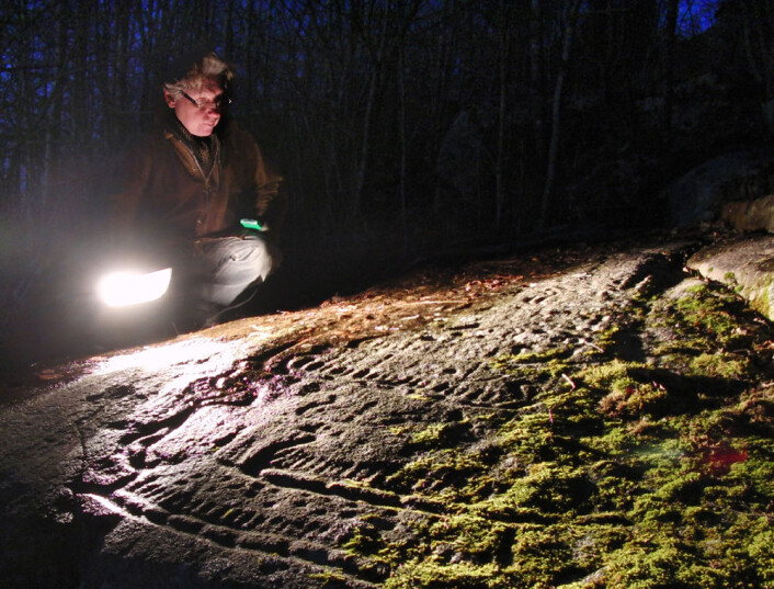 David Vogt ved helleristning på Skjelin gård, Borge i Fredrikstad (Foto: Arnfinn Christensen) David Vogt ved helleristning på Skjelin gård, Borge i Fredrikstad (Foto: Arnfinn Christensen)