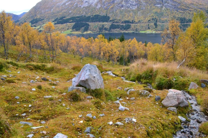 Ein kan framleis sjå sirkelforma krater oppe i lia ved Vassenden, der det vart utløyst skred i 2005. (Foto: Tore H. Medgard) Ein kan framleis sjå sirkelforma krater oppe i lia ved Vassenden, der det vart utløyst skred i 2005. (Foto: Tore H. Medgard)