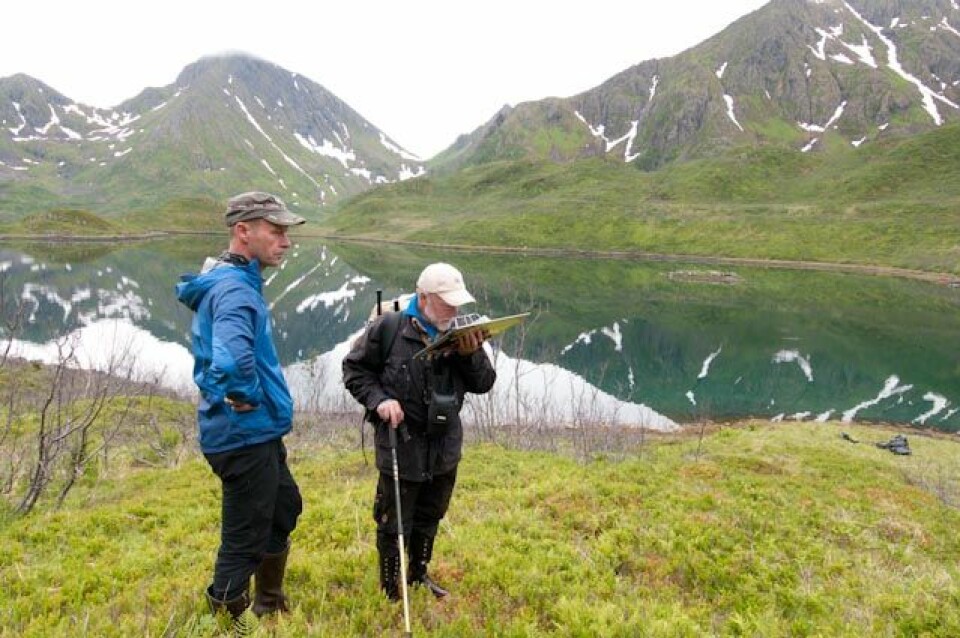Finn-Arne Haugen og Per K. Bjørklund fra Skog og landskap i Tromsø studerer terrenget i 3D-flybilder før vegetasjonskartleggingen i Husfjorden på Sørøya tar til. (Foto: Lars Sandved Dalen)