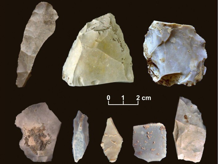 15 000 år gamle gjenstander fra Texas viser at menneskene kom til Amerika tidligere enn mange arkeologer har trodd. (Foto: Michael R. Waters) 15 000 år gamle gjenstander fra Texas viser at menneskene kom til Amerika tidligere enn mange arkeologer har trodd. (Foto: Michael R. Waters)