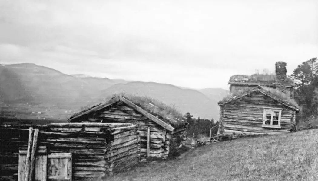 Det døde like mange barn og unge hos rike gårdbrukere som det gjorde hos fattigere husmenn i Trøndelag på 1800-tallet. Dette bildet er fra husmannsplassen Børja i Oppdal.