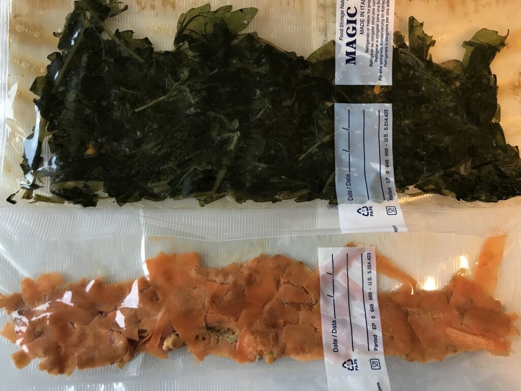 Forskerne undersøker om det er mulig å fôre tangloppene med blant annet planterester fra landbruket. Her er et pågående ensileringsforsøk med gulrotskrell og tomatplanter i vakuumposer. Forskerne undersøker om det er mulig å fôre tangloppene med blant annet planterester fra landbruket. Her er et pågående ensileringsforsøk med gulrotskrell og tomatplanter i vakuumposer.