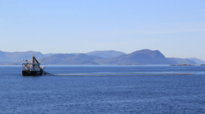 Fiske i norske farvann kan bli rikere takket varmere hav. (Foto: Colourbox.no) Fiske i norske farvann kan bli rikere takket varmere hav. (Foto: Colourbox.no)