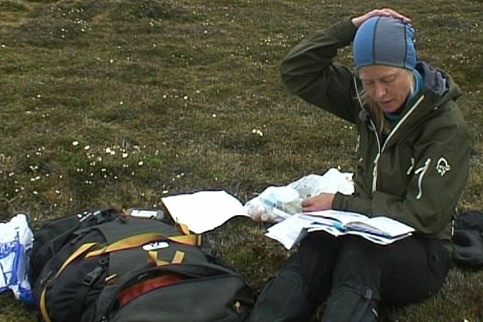 Botanikar Pernille B. Eidesen blar gjennom bøker for å vera heilt sikker på at ei liknande plante ikkje har vore registrert på Svalbard. (Foto: Kjersti Strømmen/NRK)