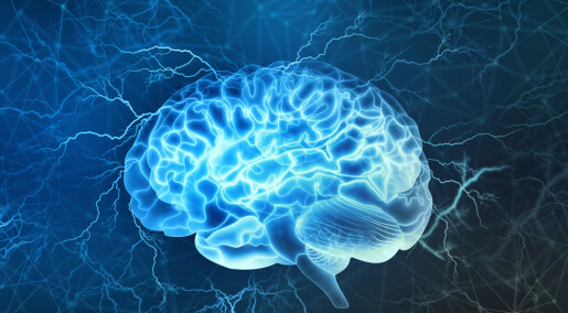 Hjernen er tema for Forskningsdagene 2020