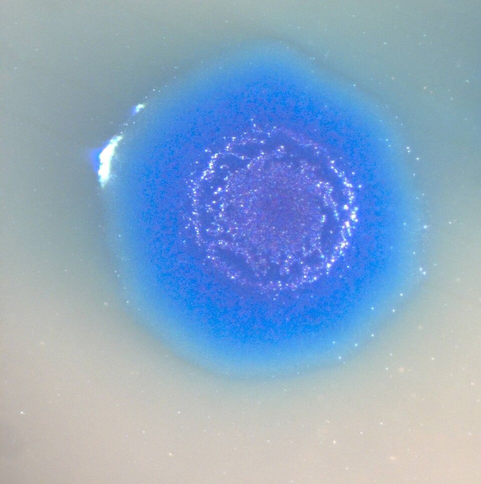 Syntetisk biologi – genteknologi for morgendagen eller neste århundrede?