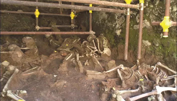 Hvordan døde egentlig romerne under Vesuv-utbruddet i år 79?