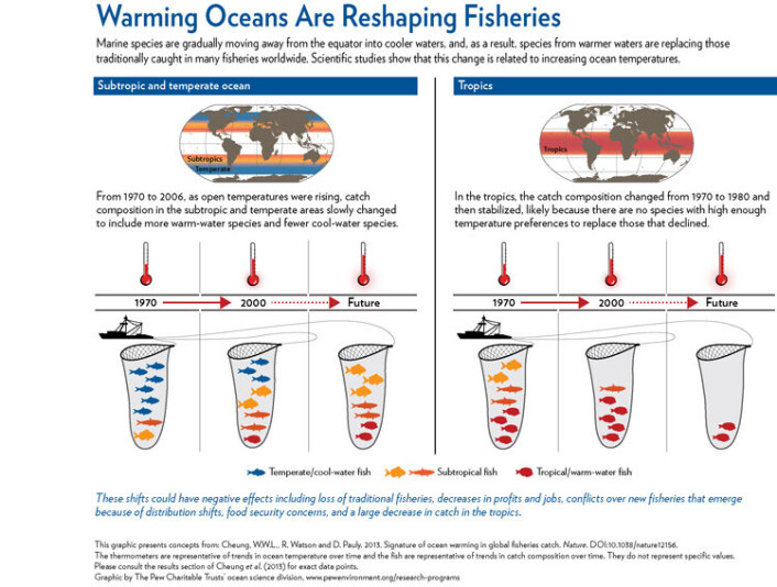 Framstillingen viser hvordan globale fangster i følge ny Nature-studie endres som følge av klimaendringer. (Foto: (Illustrasjon: The Pew Cheritable Trust)) Framstillingen viser hvordan globale fangster i følge ny Nature-studie endres som følge av klimaendringer. (Foto: (Illustrasjon: The Pew Cheritable Trust))