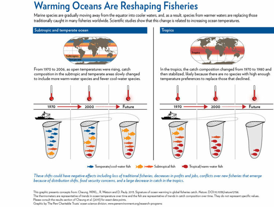 Framstillingen viser hvordan globale fangster i følge ny Nature-studie endres som følge av klimaendringer. (Foto: (Illustrasjon: The Pew Cheritable Trust))
