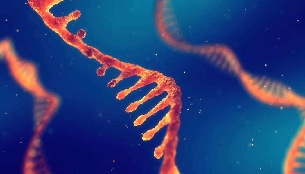 RNA er blitt et hett tema, for eksempel innen kreftforskning. RNA er blitt et hett tema, for eksempel innen kreftforskning.