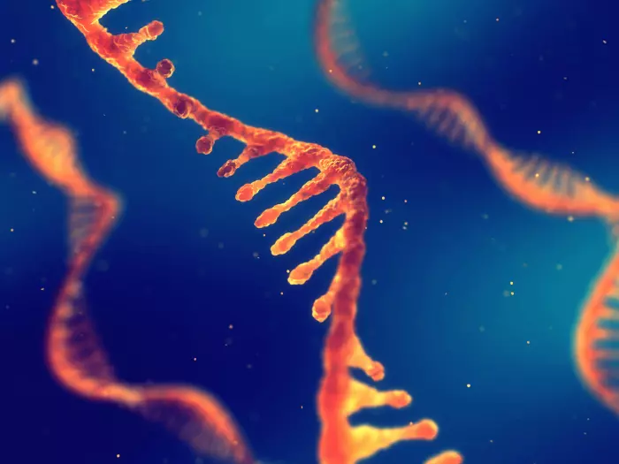 Forskere har oppdaget et nytt lag i livets genetiske kode