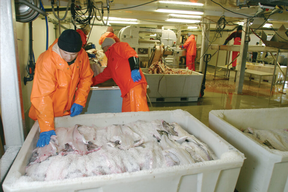'Fiskekvoter som holdes stabile over flere år vil øke lønnsomheten i norsk fiskerinæring.'