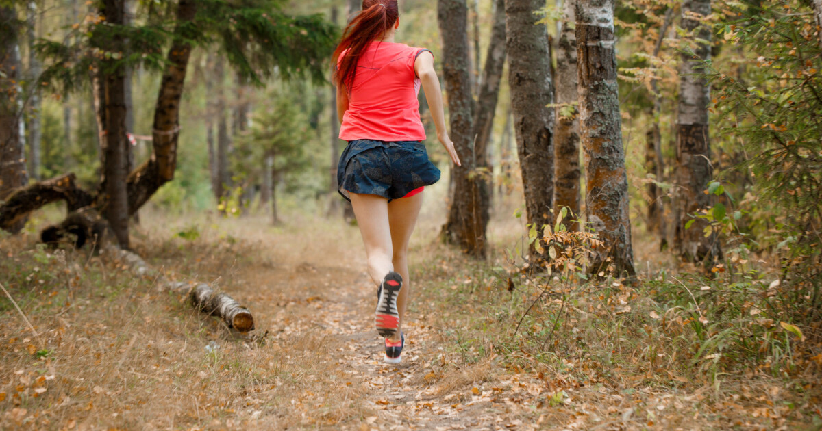 Alkohol kondisjon Alkohol kondisjon