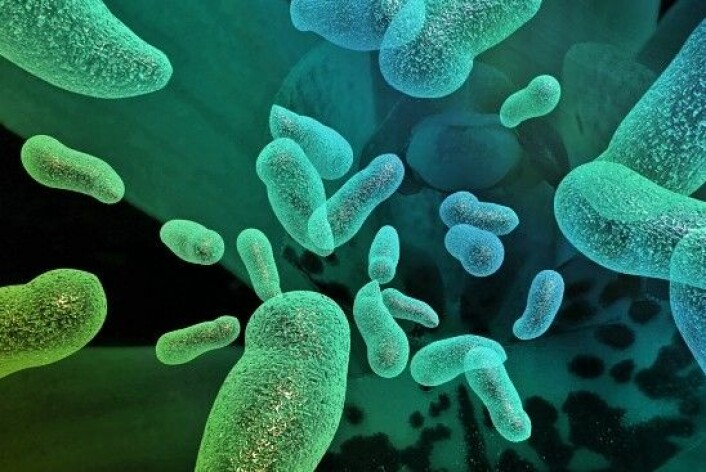 Amerikanske forskere har funnet ut at hele 90 prosent av cellene i kroppen din kan bestå av fremmede mikrober, blant annet er bakterier og virus. Men før du løper til dusjen, må du vite at mange av disse bakteriene er helt nødvendige for å holde deg frisk. (Foto: Colourbox)