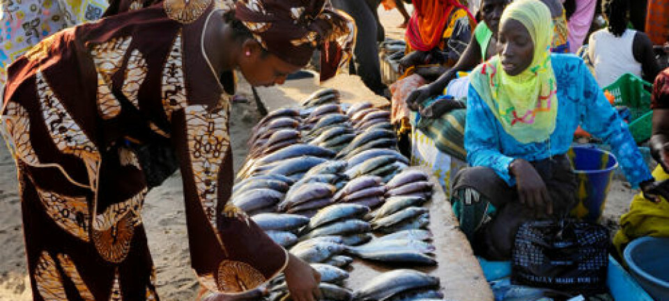 Fiskerlandsby i Gambia. iStockphoto