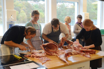 Bærekraftige liv på Landås arrangerer kurs i partering av villsaulam. (Foto: Lars Ove Kvalbein) Bærekraftige liv på Landås arrangerer kurs i partering av villsaulam. (Foto: Lars Ove Kvalbein)