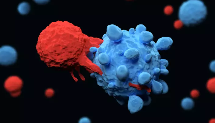 Forskere har kommet et skritt nærmere å gjøre immunterapi tilgjengelig for mange flere kreftpasienter