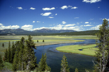 Under den idylliske overflaten i Yellowstone nasjonalpark slumrer verdens største vulkan. (Foto: Ed Austin/Herb Jones) Under den idylliske overflaten i Yellowstone nasjonalpark slumrer verdens største vulkan. (Foto: Ed Austin/Herb Jones)