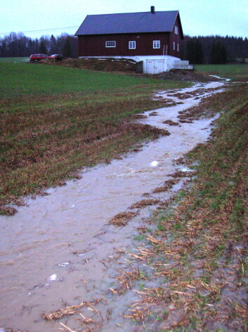 Drenering fra jordbruksarealer er en av faktorene som er med i modellen forskerne har laget og som beskriver endringer i jord som følge av mye nedbør. (Foto: Stormwater) Drenering fra jordbruksarealer er en av faktorene som er med i modellen forskerne har laget og som beskriver endringer i jord som følge av mye nedbør. (Foto: Stormwater)