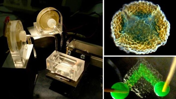 Den spesiallagde 3D-printeren lager nettverk av små fettkuler med vann inni. (Foto: G. Villar/Oxford University) Den spesiallagde 3D-printeren lager nettverk av små fettkuler med vann inni. (Foto: G. Villar/Oxford University)