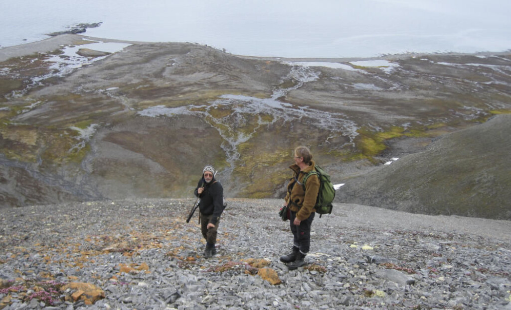 Geolog og redaktør av Geoscience Atlas of Svalbard, Winfried Dallmann, fotografert under feltarbeid på Prins Karls Forland på Svalbard sammen med geologkollega Synnøve Elvevold. Geolog og redaktør av Geoscience Atlas of Svalbard, Winfried Dallmann, fotografert under feltarbeid på Prins Karls Forland på Svalbard sammen med geologkollega Synnøve Elvevold.