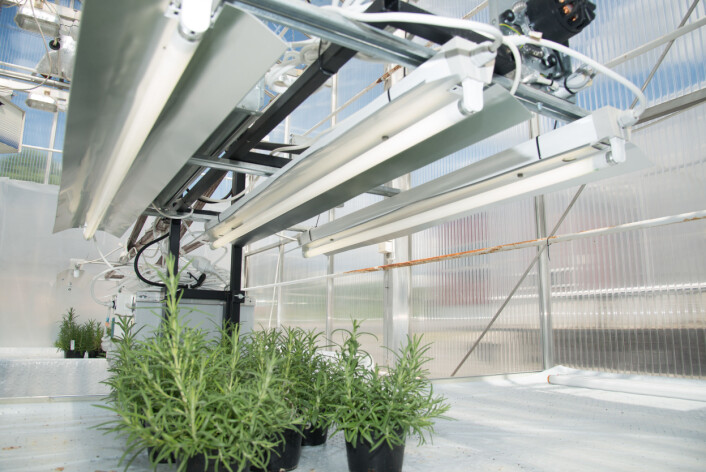 Protypen med lys/UV-bom ved Senter for klimaregulert planteforskning (SKP) på Ås. (Foto: Erling Fløistad) Protypen med lys/UV-bom ved Senter for klimaregulert planteforskning (SKP) på Ås. (Foto: Erling Fløistad)
