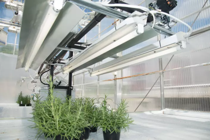 Protypen med lys/UV-bom ved Senter for klimaregulert planteforskning (SKP) på Ås. (Foto: Erling Fløistad)