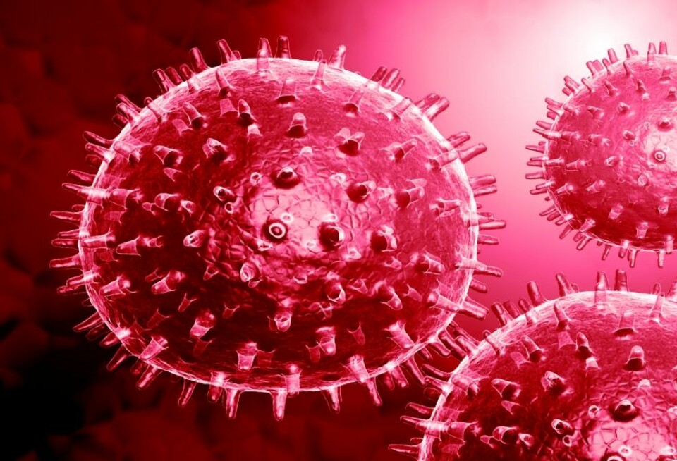 Influensavirus er stort sett runde, og piggene som stikker ut er de to proteinene som skiller forskjellige varianter fra hverandre. (Foto: (Illustrasjon: Colourbox))
