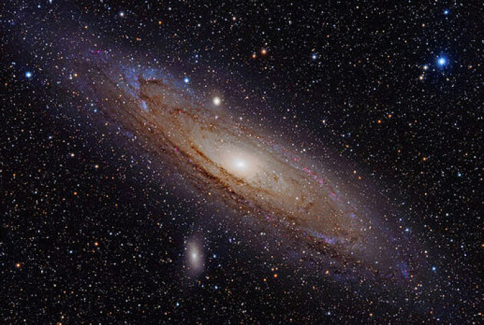 Spiralgalakser som vår egen Melkeveien og nabogalaksen Andromeda (bildet) kan gå gjennom smultringfaser tidlig og seint i sin utvikling, foreslår en fagartikkel fra 1972. (Foto: Adam Evans/Wikimedia Commons) Spiralgalakser som vår egen Melkeveien og nabogalaksen Andromeda (bildet) kan gå gjennom smultringfaser tidlig og seint i sin utvikling, foreslår en fagartikkel fra 1972. (Foto: Adam Evans/Wikimedia Commons)