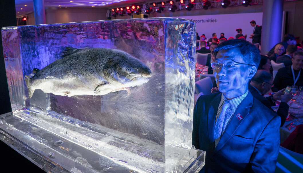 Frihandelsavtaler betyr at vi kan eksportere viktige varer vi har mye av, som fisk og metaller, uten at disse blir så dyre at forbrukerne i andre land dropper å kjøpe dem. Frihandelsavtaler betyr at vi kan eksportere viktige varer vi har mye av, som fisk og metaller, uten at disse blir så dyre at forbrukerne i andre land dropper å kjøpe dem.