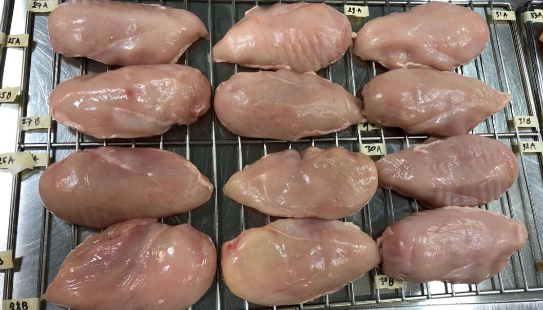 Matforskere jobber stadig for å utvikle enda mer skånsomme teknologier som både kan forlenge matens holdbarhet og forbedre kvaliteten. Matforskere jobber stadig for å utvikle enda mer skånsomme teknologier som både kan forlenge matens holdbarhet og forbedre kvaliteten.