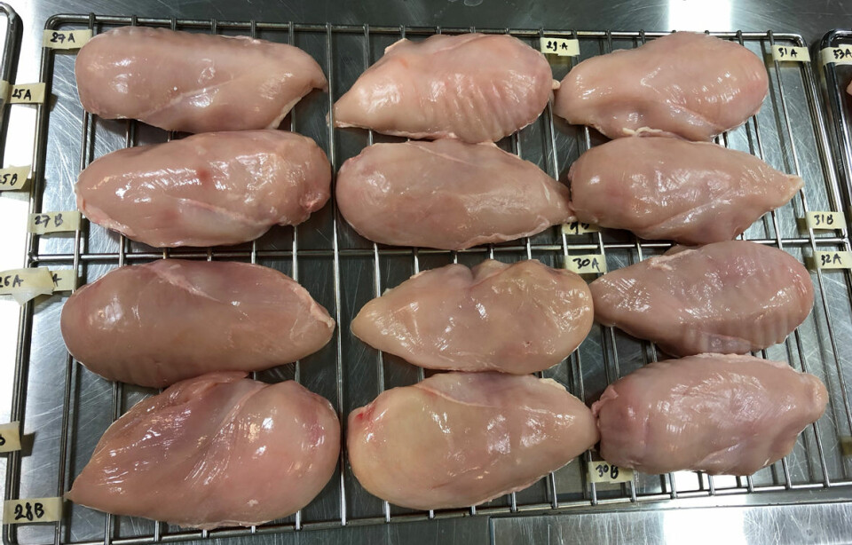Chicken fillets ready to be cooked, cooled and CO2-saturated before further processing