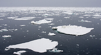 Havforskning viser at iskanten trekker sørover