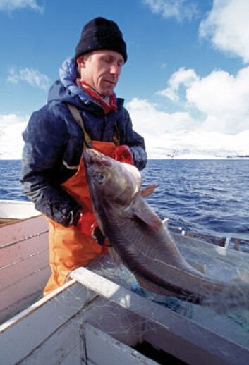 Tidligere fiskere har sluttet frivillig, men bestemte oppfatninger om hva som er «det gode liv» kan få fiskere til å se negativt på yrket sitt. (Foto: Kjell Ove Storvik, Seafood.no) Tidligere fiskere har sluttet frivillig, men bestemte oppfatninger om hva som er «det gode liv» kan få fiskere til å se negativt på yrket sitt. (Foto: Kjell Ove Storvik, Seafood.no)