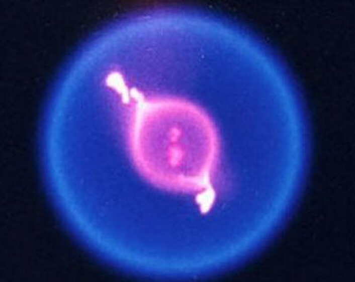 Flamme i FLEX-eksperimentet på Den internasjonale romstasjonen (Foto: NASA/GRC) Flamme i FLEX-eksperimentet på Den internasjonale romstasjonen (Foto: NASA/GRC)