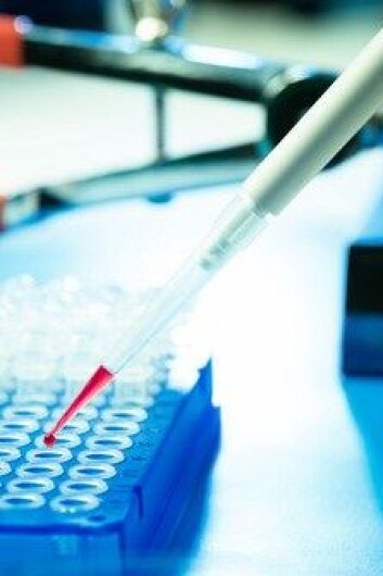 Mikrobiologiske undersøkelser kan identifisere bakteriene bak et konkret sykdomstilfelle og gjør det mulig å målrette behandlingen. (Foto: Colourbox) Mikrobiologiske undersøkelser kan identifisere bakteriene bak et konkret sykdomstilfelle og gjør det mulig å målrette behandlingen. (Foto: Colourbox)