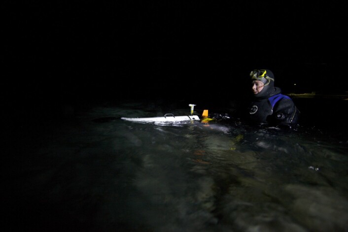 Professor Jørgen Berge i vannet med en av robotene som ble brukt – en AUV (Autonomous Underwater Vehicle). Foto: Geir Johnsen Professor Jørgen Berge i vannet med en av robotene som ble brukt – en AUV (Autonomous Underwater Vehicle). Foto: Geir Johnsen