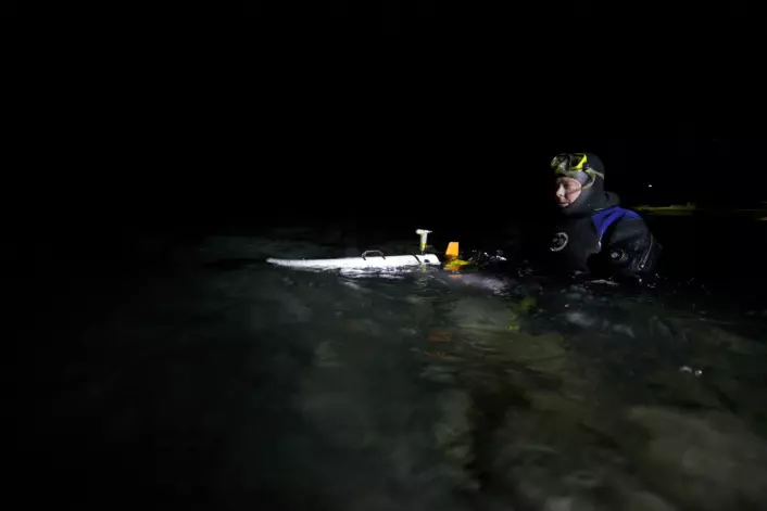 Professor Jørgen Berge i vannet med en av robotene som ble brukt – en AUV (Autonomous Underwater Vehicle). Foto: Geir Johnsen