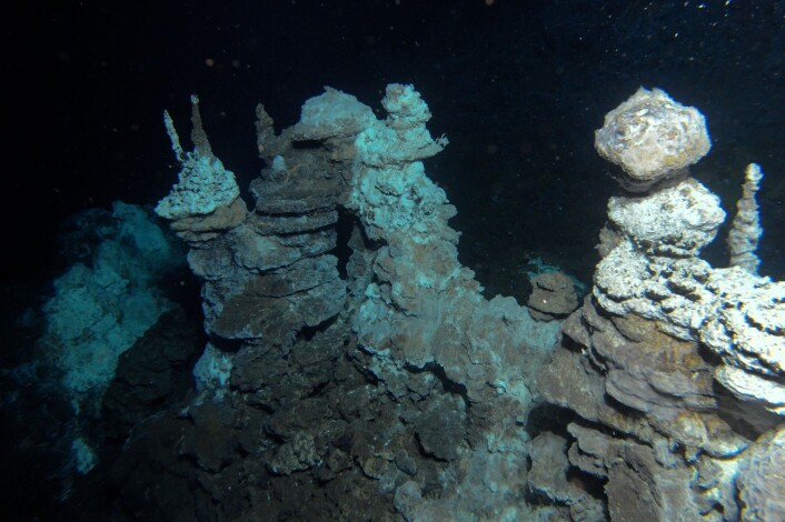 Fra "skorsteiner" på havbunnen strømmer det ut varmt vann som har skapt en unik fauna i området. (Foto: Senter for geobiologi, UiB) Fra "skorsteiner" på havbunnen strømmer det ut varmt vann som har skapt en unik fauna i området. (Foto: Senter for geobiologi, UiB)